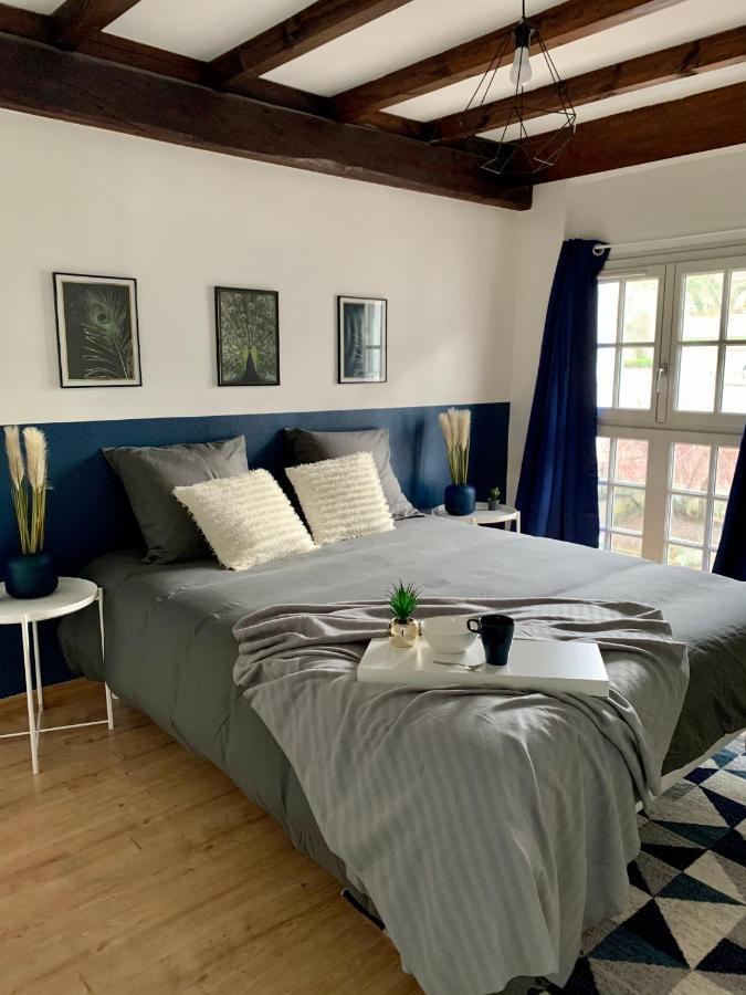 Appartement Les Bleuets - Centre Ville De Сомюр Екстериор снимка