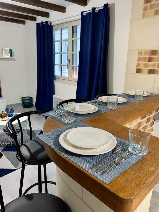Appartement Les Bleuets - Centre Ville De Сомюр Екстериор снимка