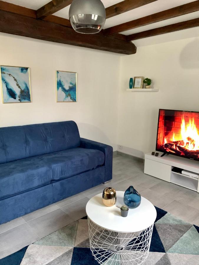 Appartement Les Bleuets - Centre Ville De Сомюр Екстериор снимка