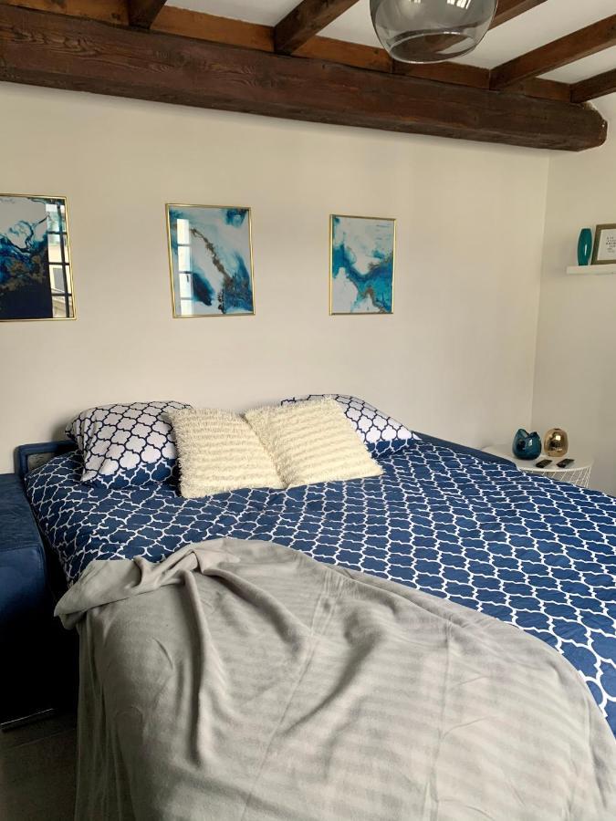 Appartement Les Bleuets - Centre Ville De Сомюр Екстериор снимка